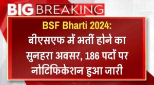 BSF Bharti 2024: बीएसएफ में भर्ती होने का सुनहरा अवसर, 186 पदों पर नोटिफिकेशन हुआ जारी