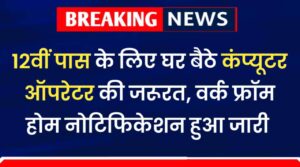 WFH Computer Operator Vacancy: 12वीं पास के लिए घर बैठे कंप्यूटर ऑपरेटर की जरूरत, नोटिफिकेशन हुआ जारी