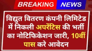 Vidyut Vitran Apprentice Vacancy 2024: विद्युत वितरण कंपनी लिमिटेड में निकली अपरेंटिस की भर्ती, 10वीं पास करे आवेदन