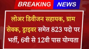 DSC Forest Guard Vacancy 2024: लोअर डिवीजन सहायक, ग्राम सेवक समेत 823 पदो पर भर्ती, 6वी से 12वी पास योग्यता