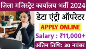 District Magistrate Data Entry Operator Vacancy 2024: जिला मजिस्ट्रेट कार्यालय में निकली डेटा एंट्री ऑपरेटर भर्ती