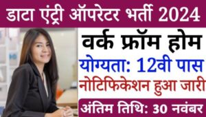 Work From Home Data Entry Operator Vacancy 2024 डाटा एंट्री ऑपरेटर घर बैठे करे काम, 12वी पास योग्यता