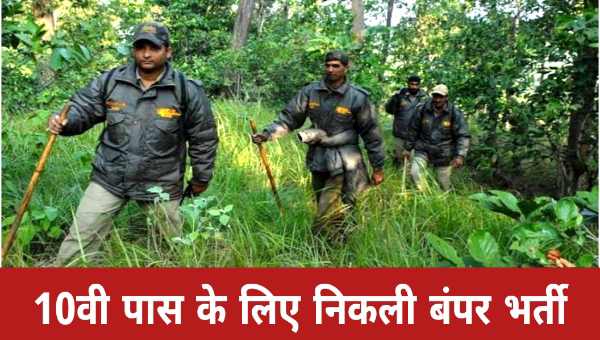 FOREST GUARD VACANCY 2025: फॉरेस्ट गार्ड के 26000 से अधिक पदों पर निकली भर्ती, योग्यता 10वीं पास