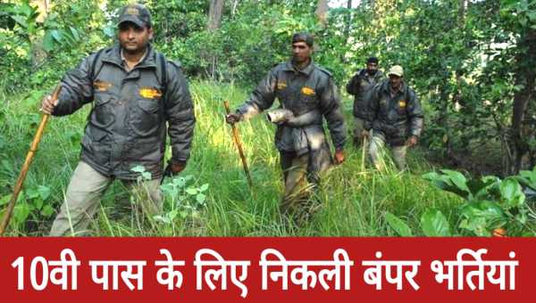 FOREST GUARD VACANCY 2025: फॉरेस्ट गार्ड के 23000 पदों पर निकली बंपर भर्ती, 10वीं पास करें आवेदन 