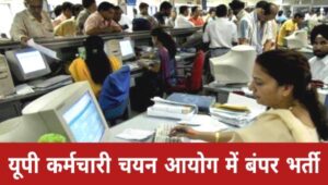 UPSSSC STENOGRAPHER VACANCY 2025: स्टेनोग्राफर के 1200 से अधिक पदों पर भर्ती, ऐसे करें आवेदन 